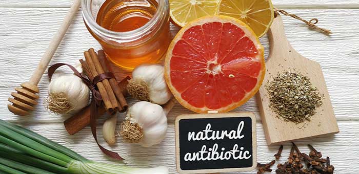 Natural antibiotics reccomnded by Valley Village chiropractor